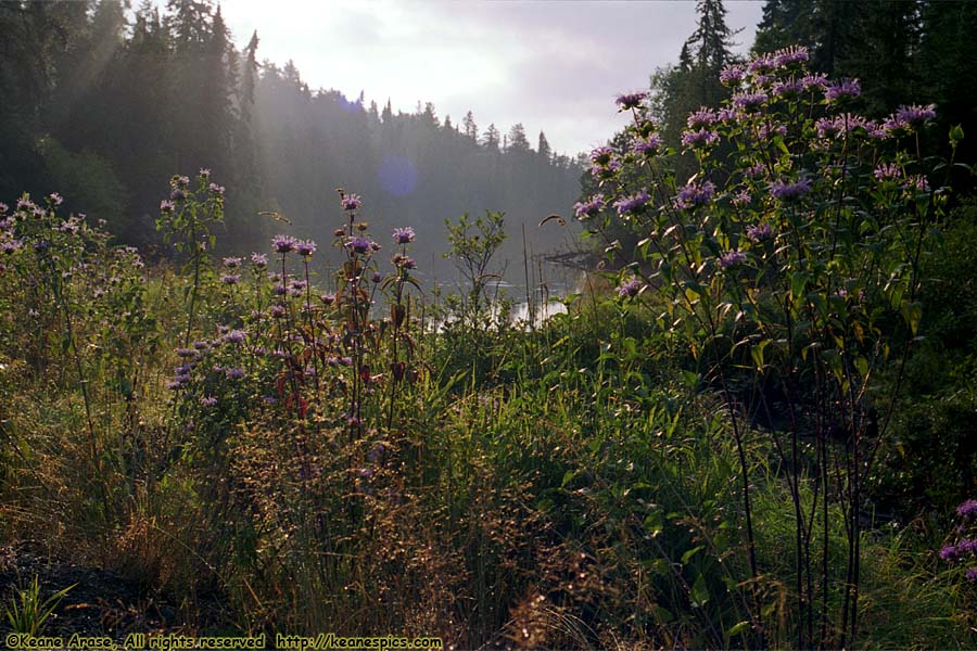 Along The Gunflint Trail