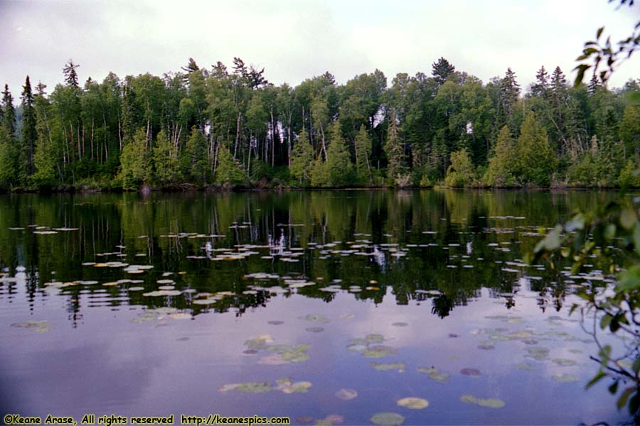 Along The Gunflint Trail