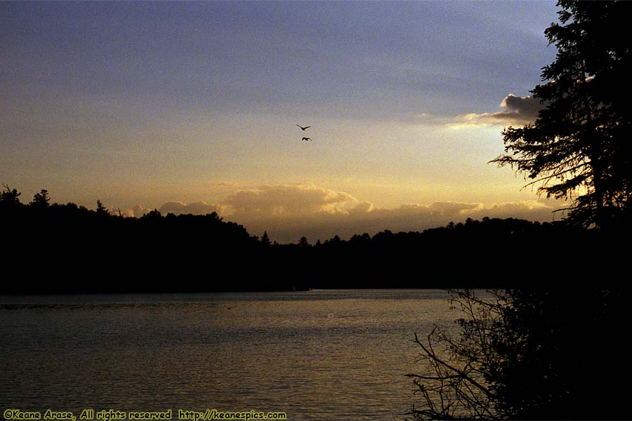 Hungry Jack Lake (1998)