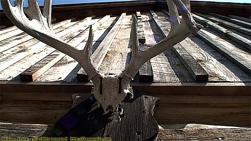 Maltese Cross Cabin