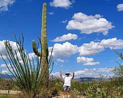 Saguaro NP Link