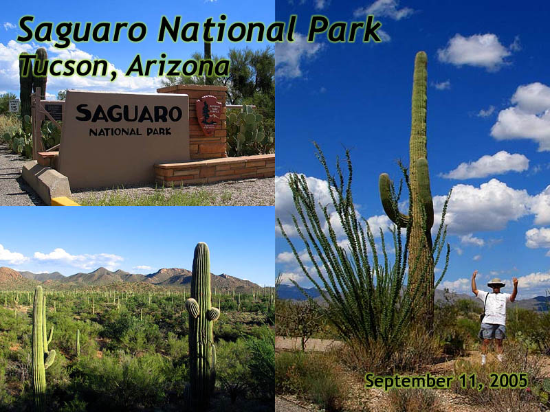 Saguaro Slideshow