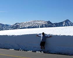 Rocky Mountain Link