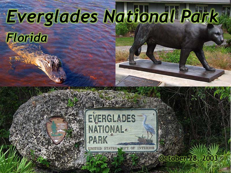 Everglades National Park.jpg