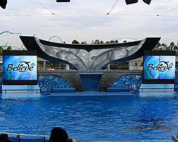 SeaWorld Orlando Link