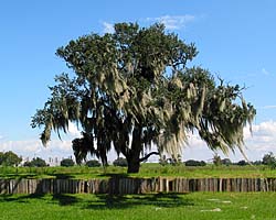 Chalmette Link