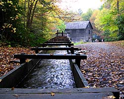 Great Smoky Mountain Link