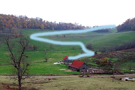 Peaceful Pastures Farm