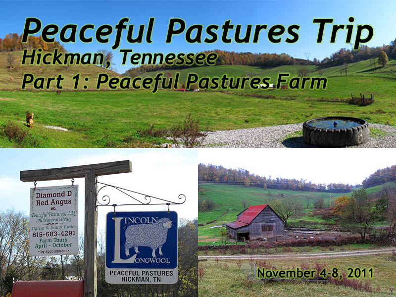 Peaceful Pastures Farm slideshow 1