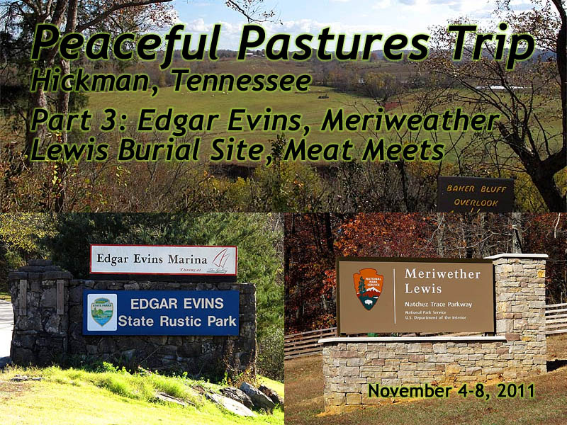 Peaceful Pastures Farm slideshow 3