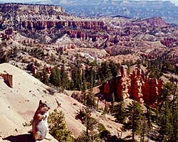 Bryce Canyon NP Link