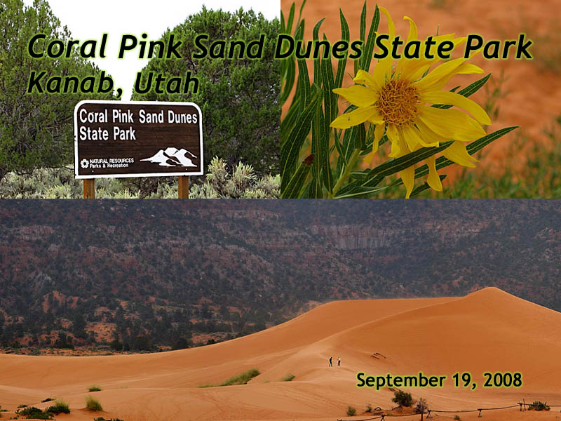 Coral Pink sand dunes slideshow