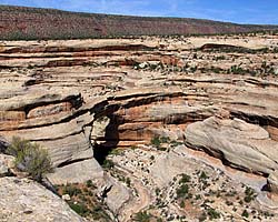 Natural Bridges Link