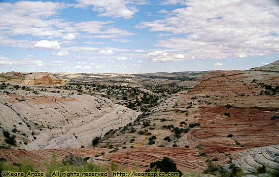 Utah Desert