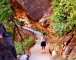 Zion NP Link