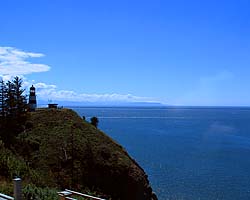 Cape Disappointment Link