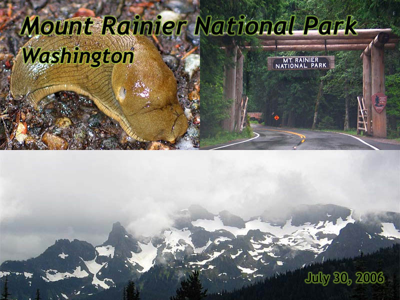 Mount Rainier slide show