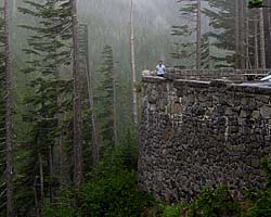 Mount Rainier Link