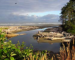 Olympic NP Link