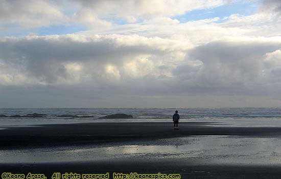 Olympic National Park