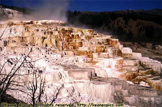 Mammoth Hot Springs