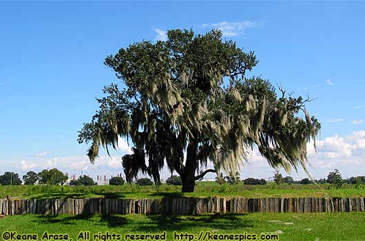 Chalmette Battlefield