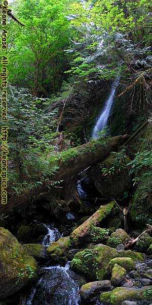 Merriman Falls