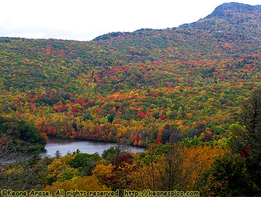 Grandfather Mountain