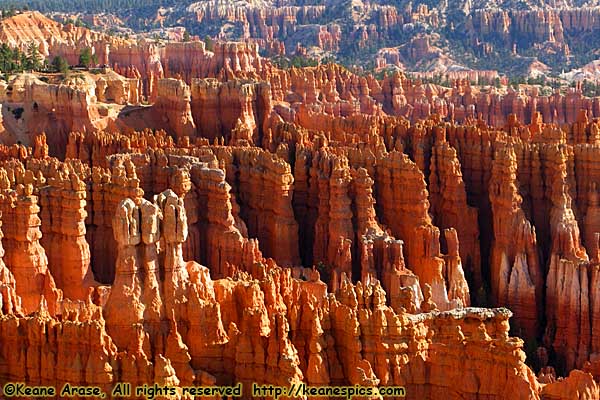 Bryce Canyon