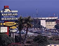 Marineland 1969 Link