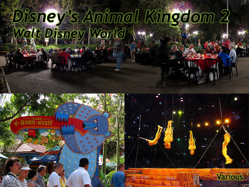 Animal Kingdom Slideshow 2