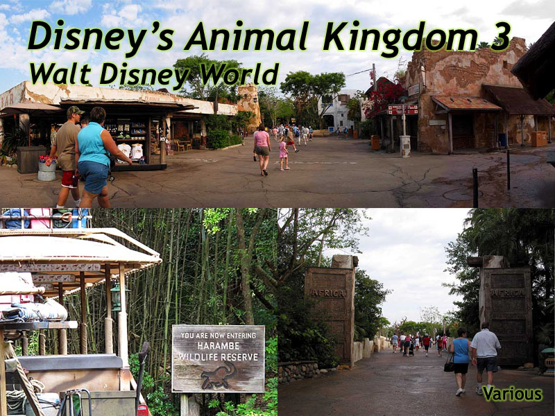 Animal Kingdom Slideshow 3