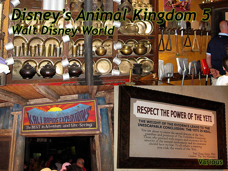 Animal Kingdom Slideshow 5