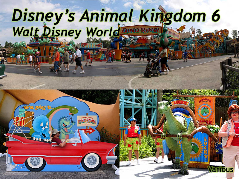 Animal Kingdom Slideshow 6