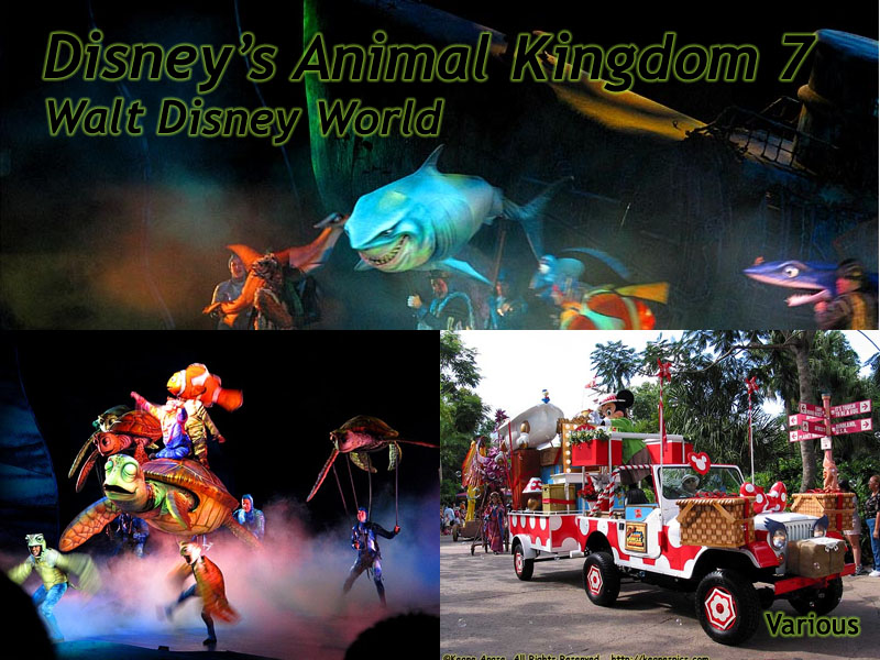 Animal Kingdom Slideshow 7