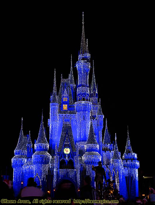 The Castle Ice Lights