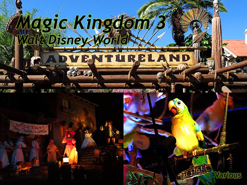 Magic Kingdom Slideshow 3