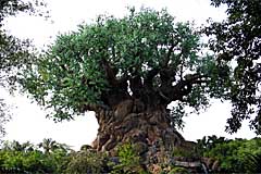 Animal Kingdom