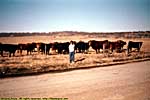 198802NCR_091X404Oklahoma