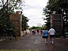 200504WDW_167C27081