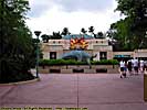 200504WDW_245C27102