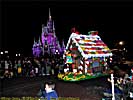 201012WDW_537P10215