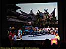 201105WDW_1148P14104