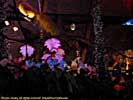 201108WDW_219P17122