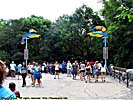 201108WDW_360P18110