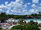 201108WDW_411L19115