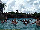 201108WDW_483L19140