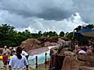 201108WDW_498L19143