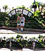 201108WDW_585586P20082