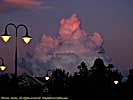 201109WDW_068P27182